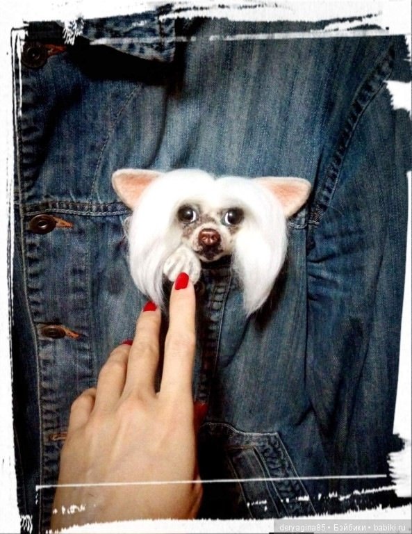 Брошь Китайская хохлатая — Валяные игрушки из шерсти: сухое валяние (фото 6)