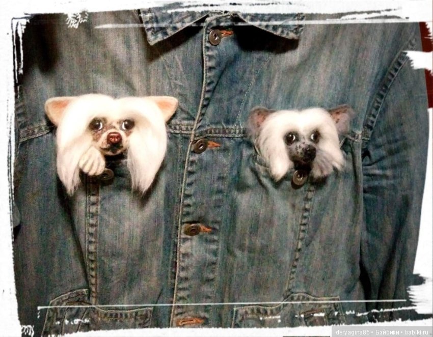 Брошь Китайская хохлатая — Валяные игрушки из шерсти: сухое валяние (фото 2)