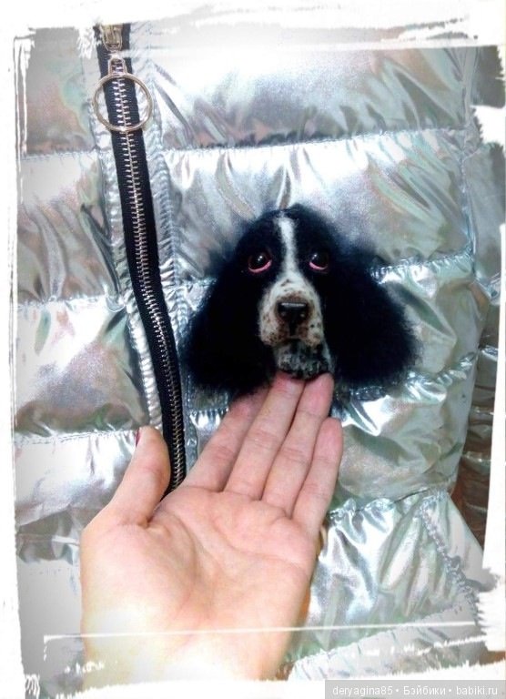 Брошь "Спрингер спаниель" (фото 9)