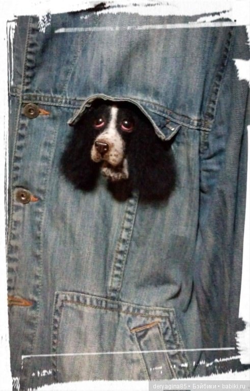 Брошь "Спрингер спаниель" (фото 6)