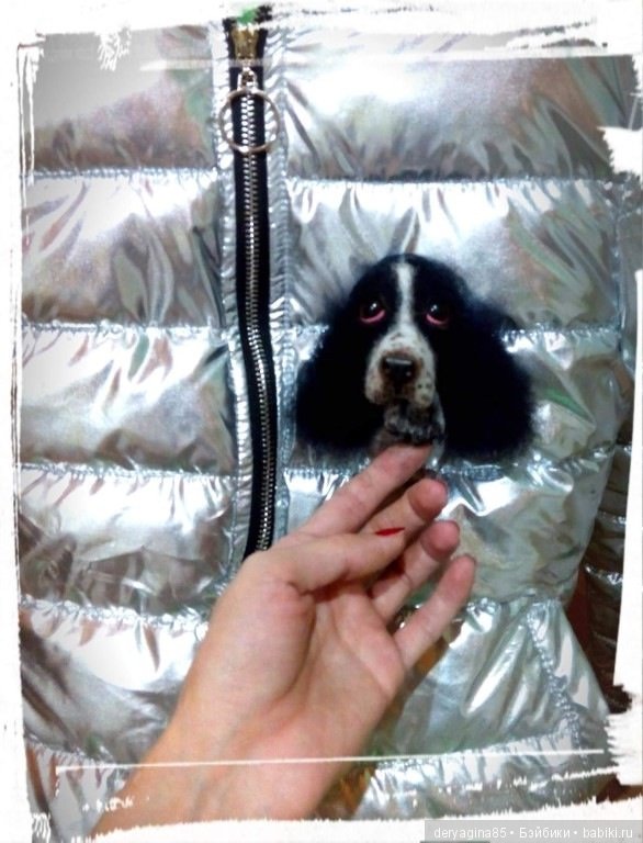 Брошь "Спрингер спаниель" (фото 10)