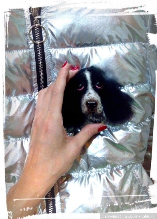 Брошь "Спрингер спаниель"