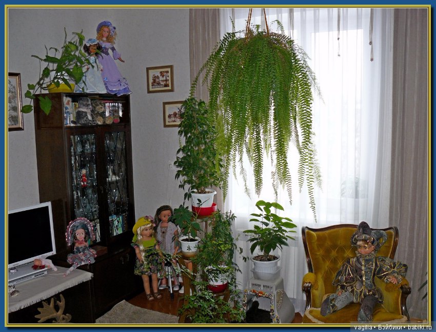 Дома снова покой и порядок (фото 4)