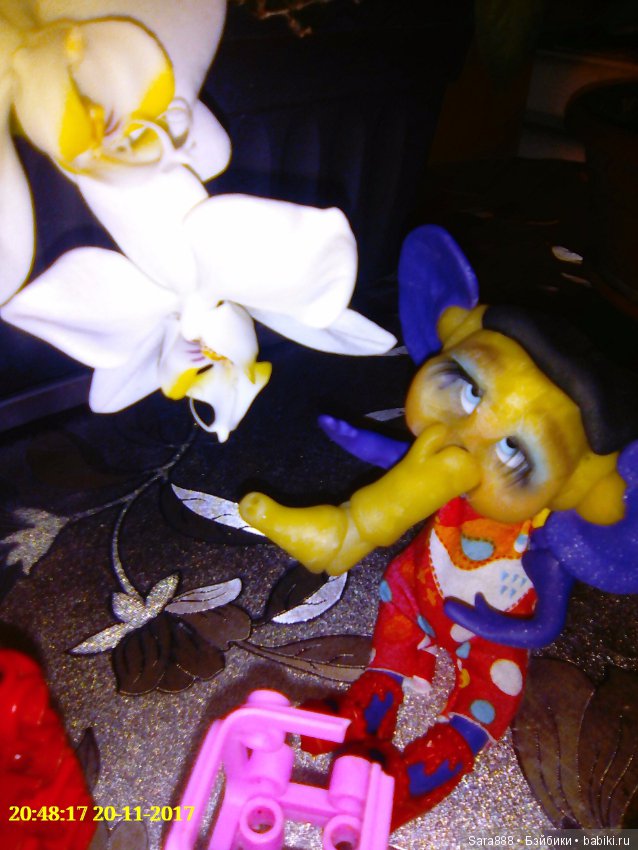 Марина, шарнирная слониха (фото 3)