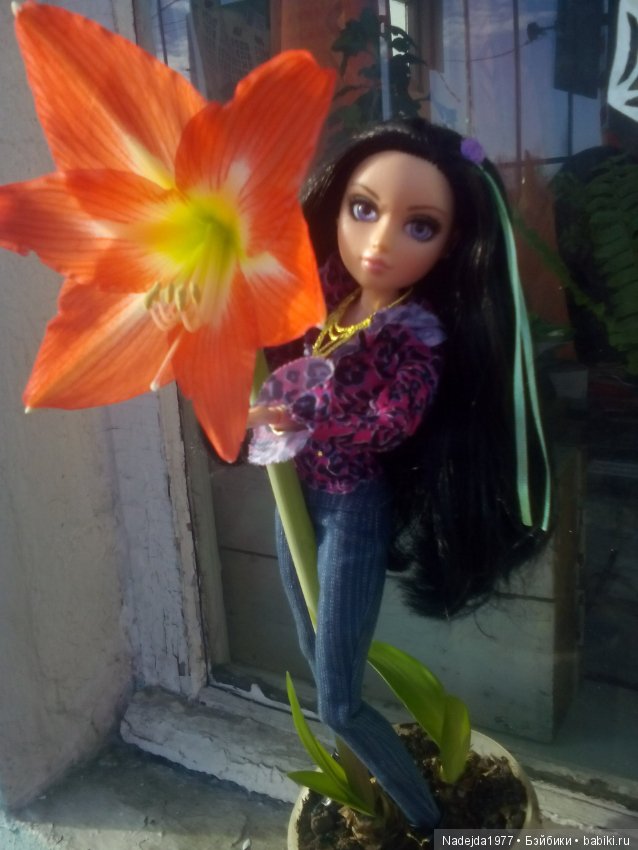 Сегодня ровно год как я на Бейбиках