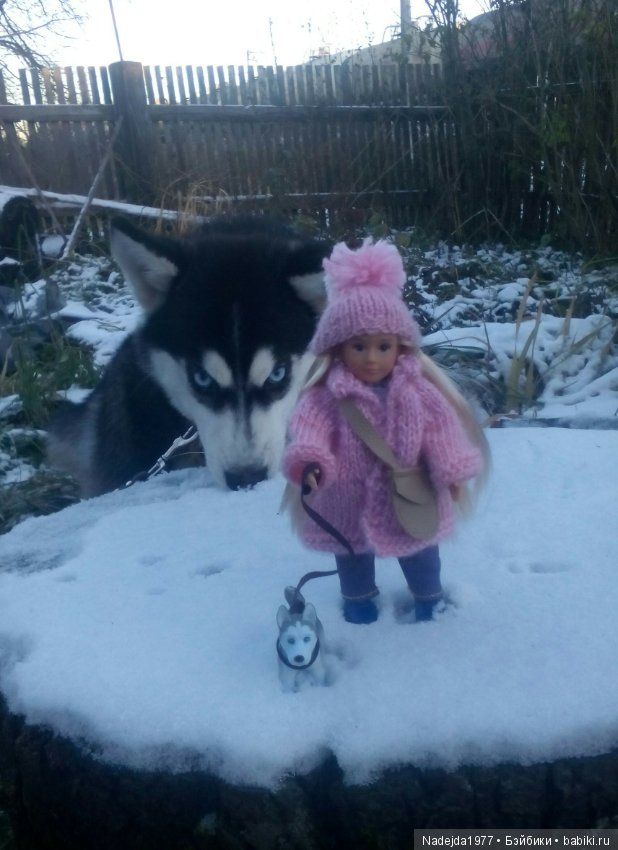 Сегодня ровно год как я на Бейбиках