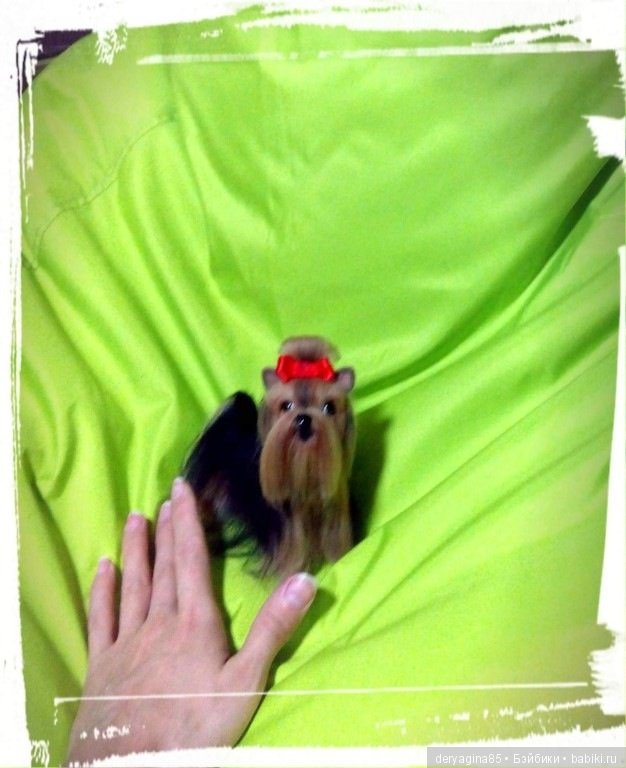 Мини йорик — Валяные игрушки из шерсти: сухое валяние (фото 5)