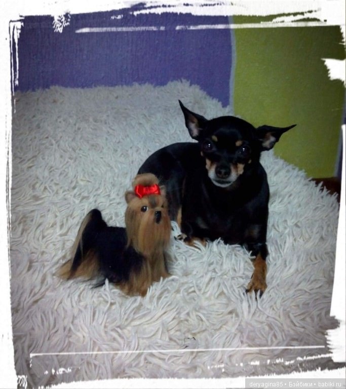 Мини йорик — Валяные игрушки из шерсти: сухое валяние