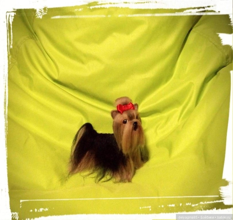 Мини йорик — Валяные игрушки из шерсти: сухое валяние (фото 3)