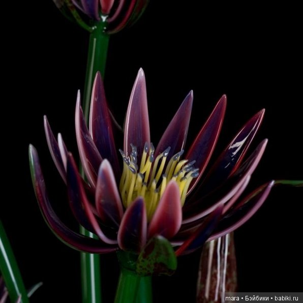 Лотосы из стекла — Мир искусства и творчества: стимпанк (фото 10)