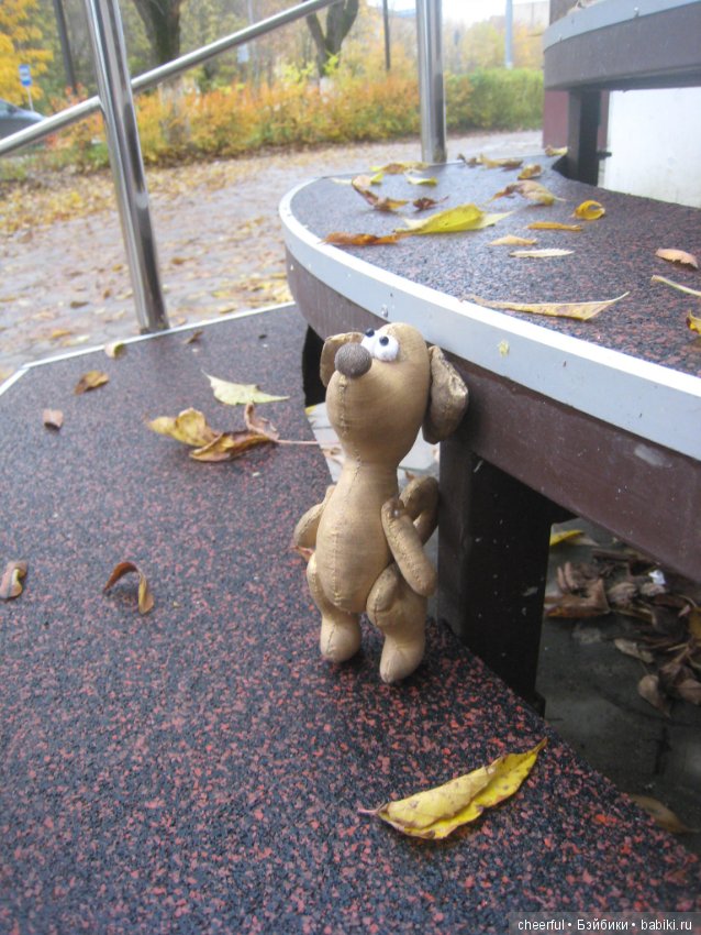 Скоро... скоро... новый год, где-то нас собака ждет