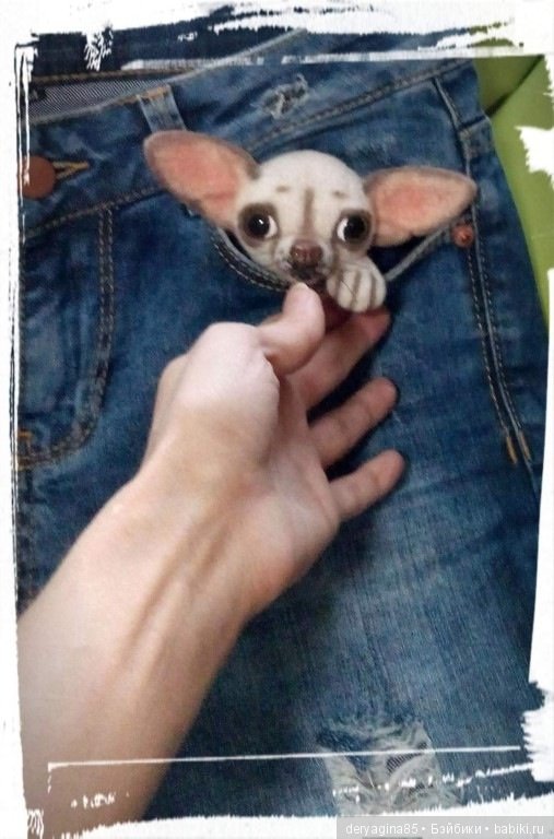 Чихоброшки — Валяные игрушки из шерсти: сухое валяние (фото 5)