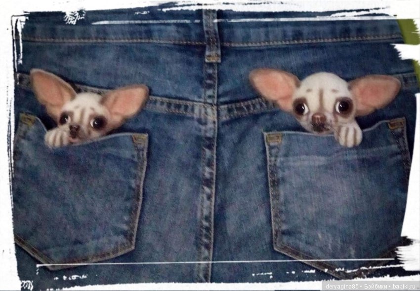 Чихоброшки — Валяные игрушки из шерсти: сухое валяние (фото 9)