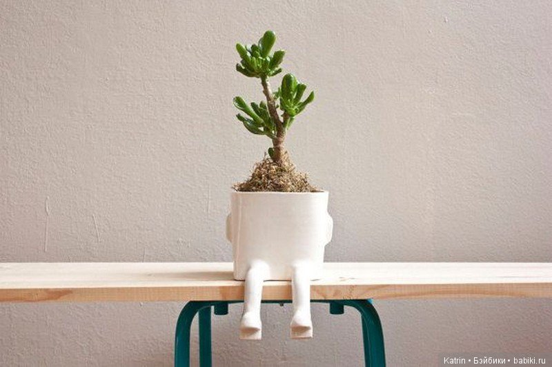 Оригинальные цветочные горшочки (фото 9)