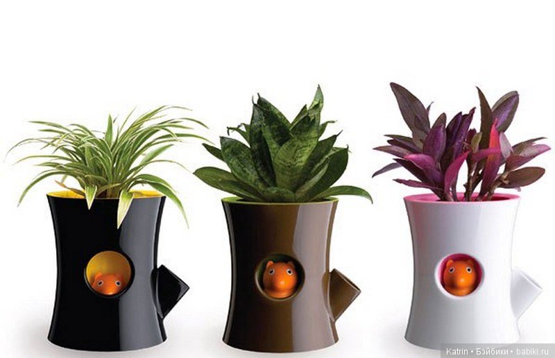 Оригинальные цветочные горшочки (фото 4)