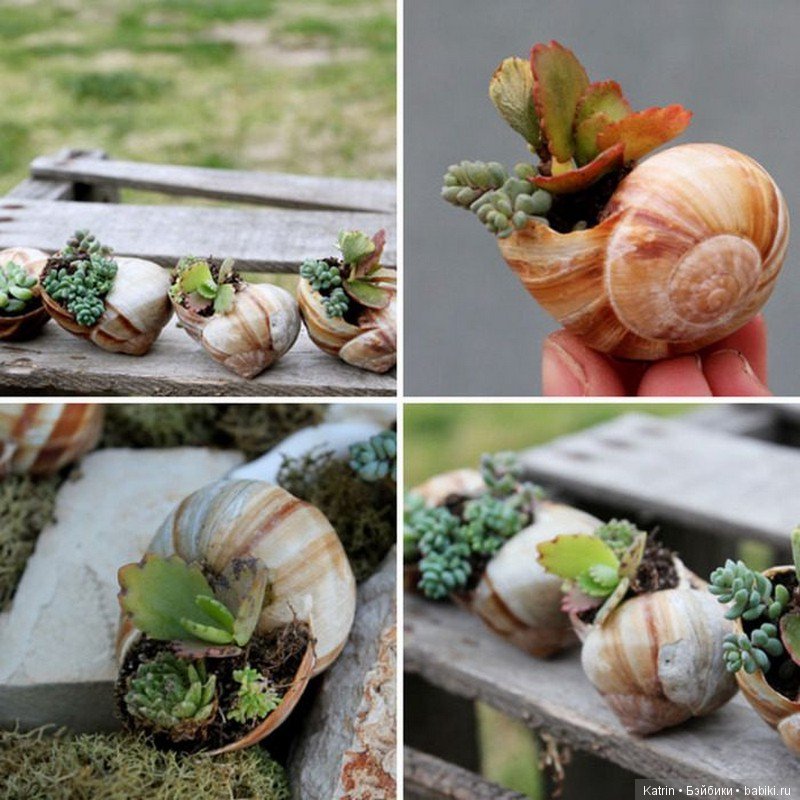 Оригинальные цветочные горшочки (фото 3)