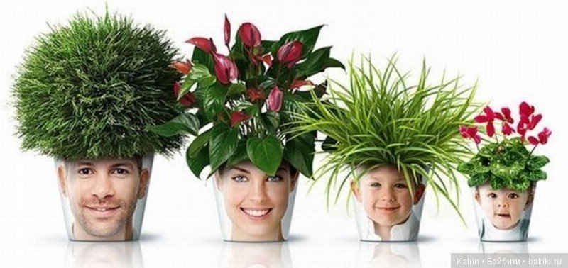 Оригинальные цветочные горшочки