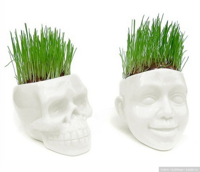 Оригинальные цветочные горшочки (фото 2)