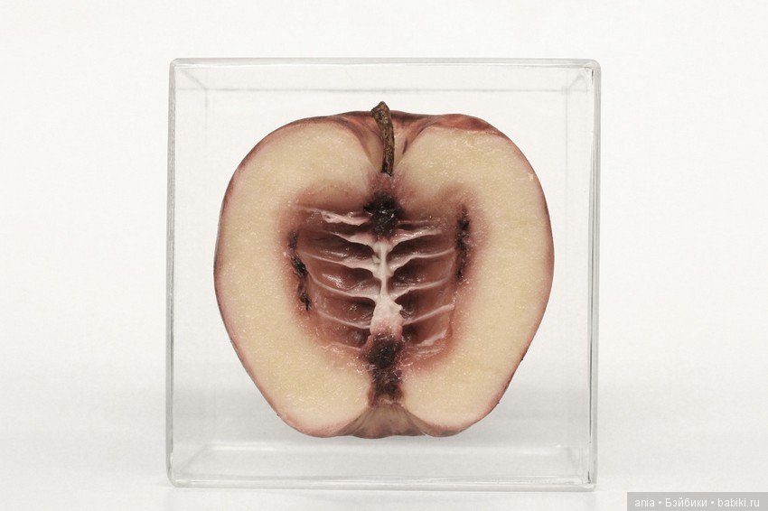 Искусство на грани от Monica Piloni (фото 2)