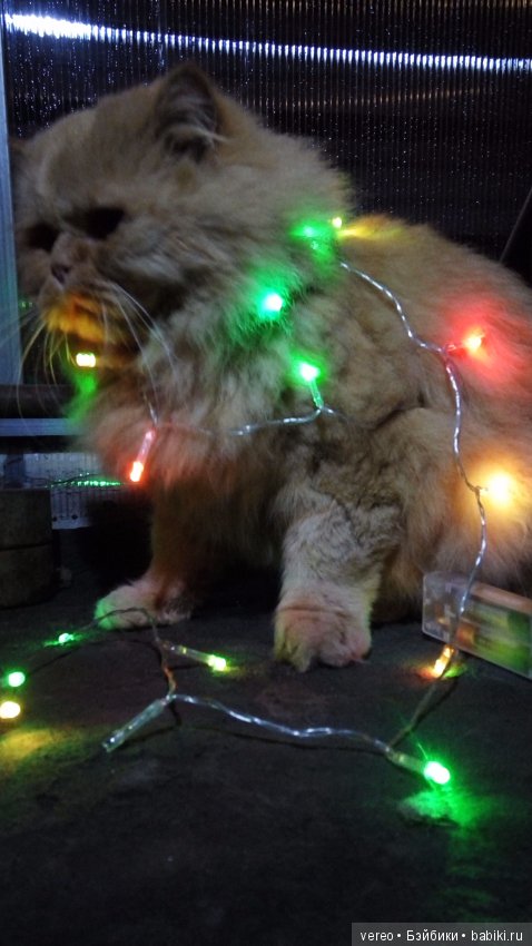 Пожалуй, самое универсальное украшение (фото 6)