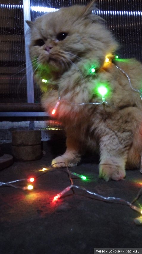 Пожалуй, самое универсальное украшение (фото 9)