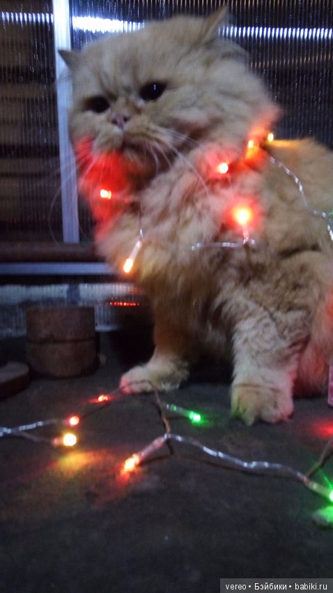 Пожалуй, самое универсальное украшение