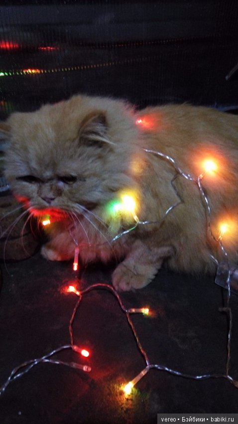 Пожалуй, самое универсальное украшение (фото 4)