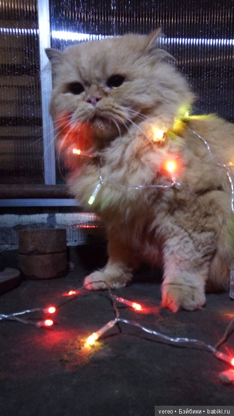 Пожалуй, самое универсальное украшение (фото 2)