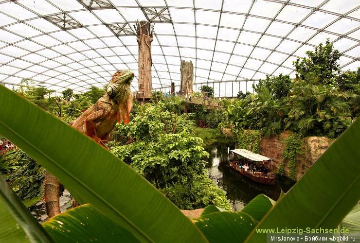 По Германии: зоопарк Лейпцига, часть 1