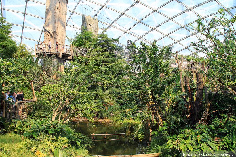 По Германии: зоопарк Лейпцига, часть 1