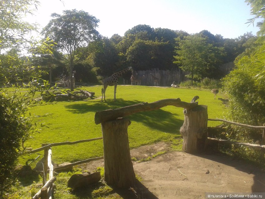 По Германии: зоопарк Лейпцига, часть 1