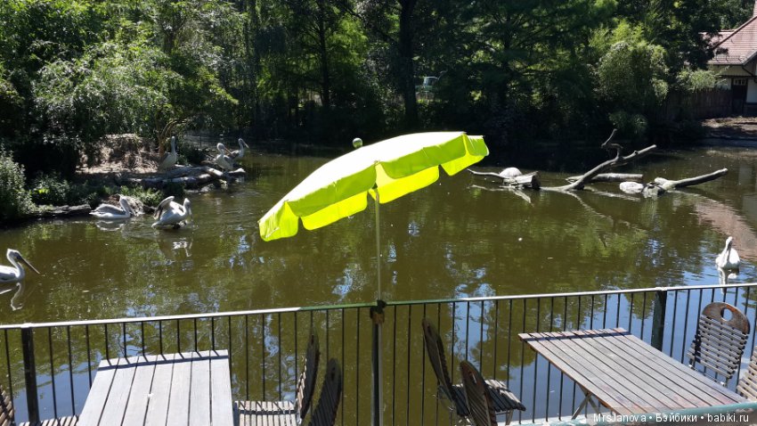 По Германии: зоопарк Лейпцига, часть 1 (фото 4)