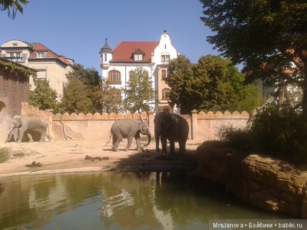 По Германии: зоопарк Лейпцига, часть 1