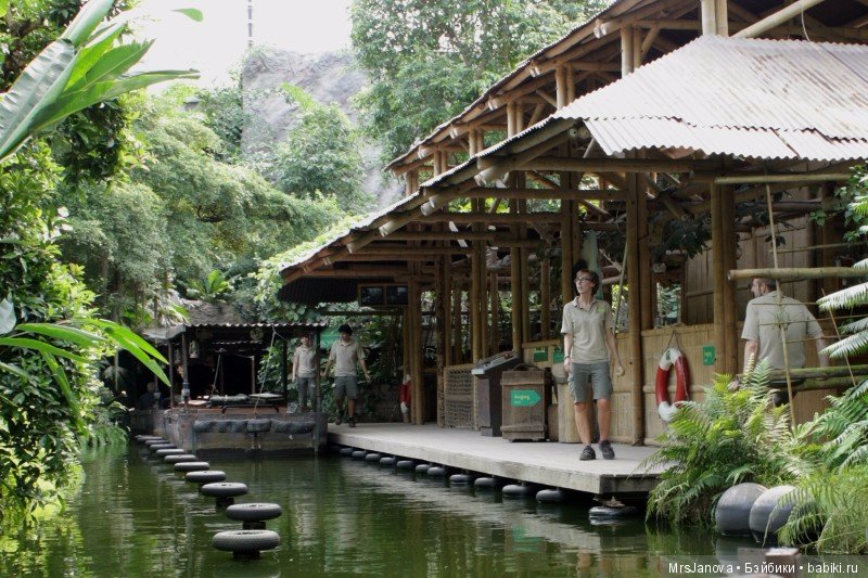 По Германии: зоопарк Лейпцига, часть 1 (фото 6)