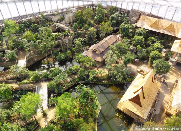 По Германии: зоопарк Лейпцига, часть 1