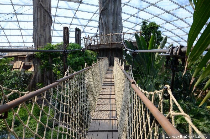 По Германии: зоопарк Лейпцига, часть 1