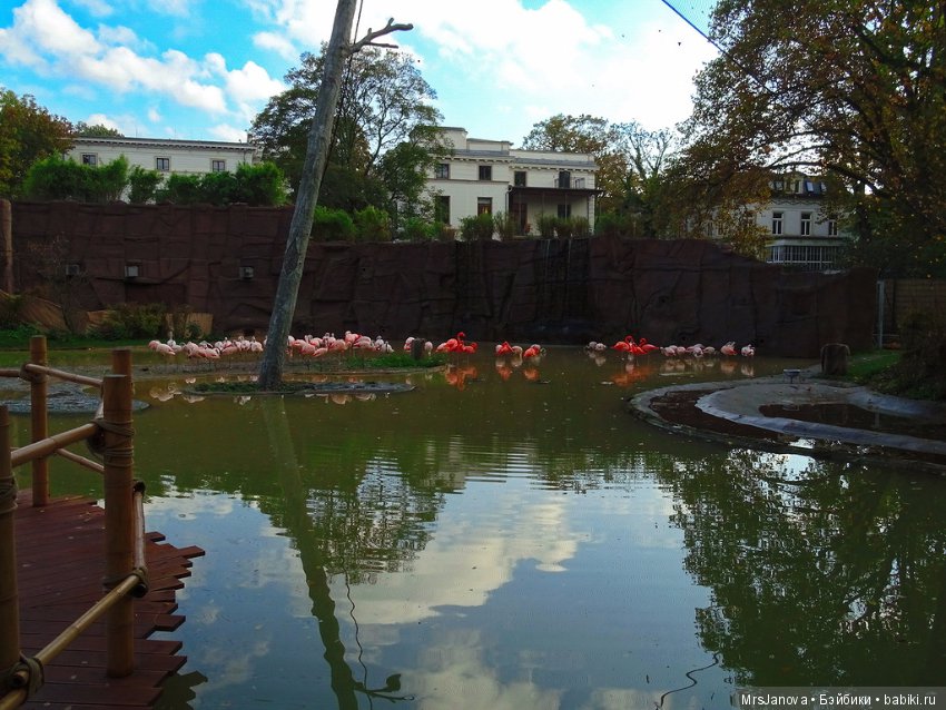 По Германии: зоопарк Лейпцига, часть 1 (фото 5)