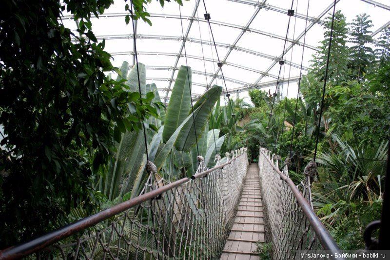 По Германии: зоопарк Лейпцига, часть 1 (фото 8)