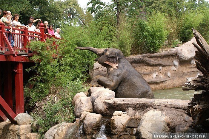 По Германии: зоопарк Лейпцига, часть 1