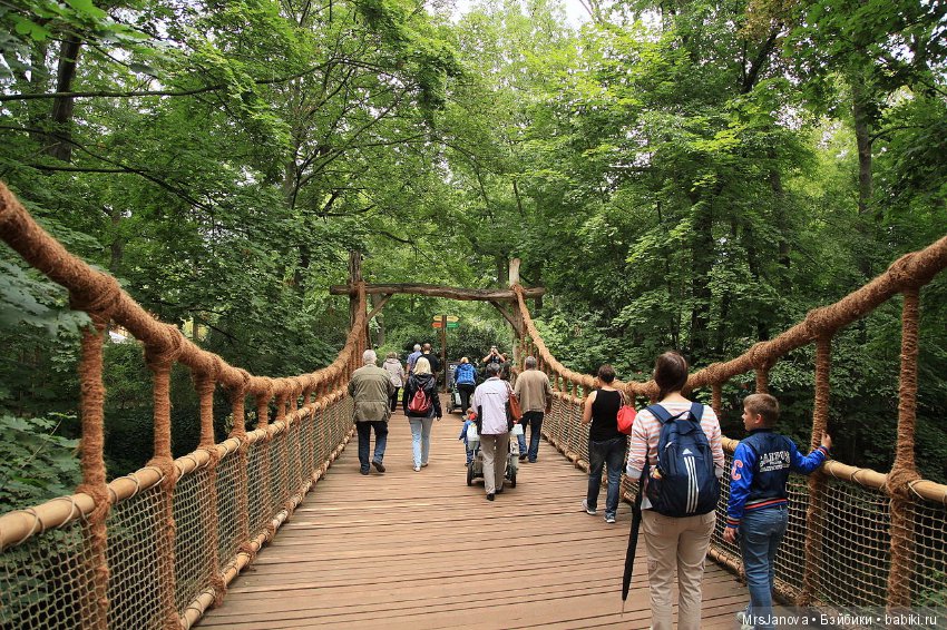 По Германии: зоопарк Лейпцига, часть 1