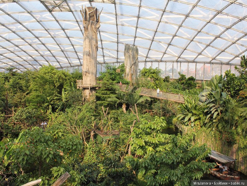 По Германии: зоопарк Лейпцига, часть 1