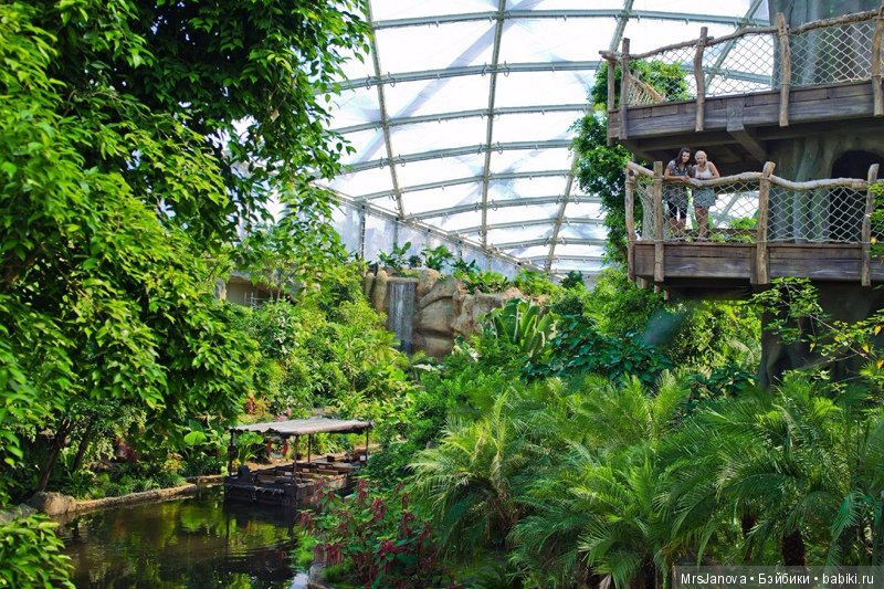 По Германии: зоопарк Лейпцига, часть 1