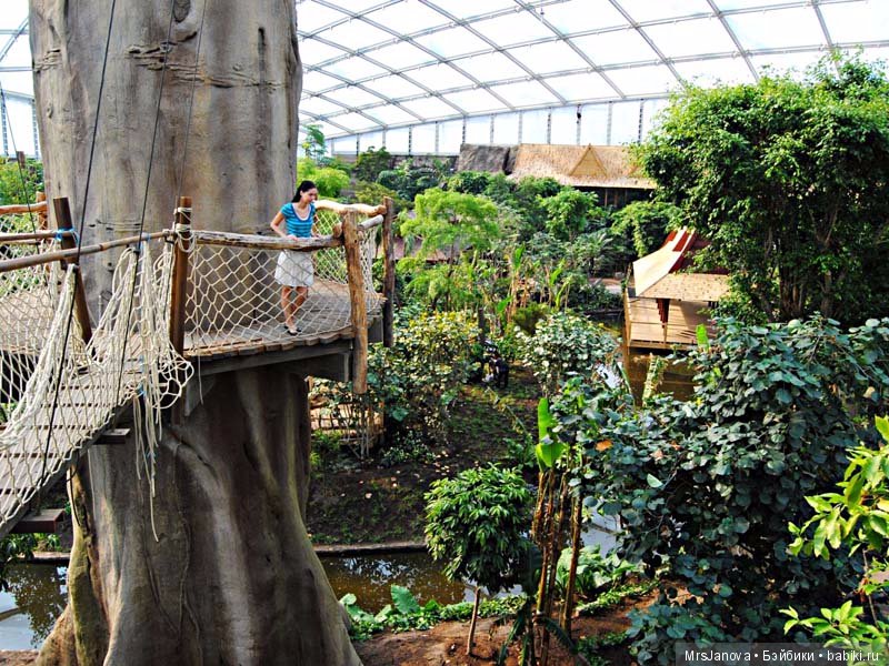 По Германии: зоопарк Лейпцига, часть 1