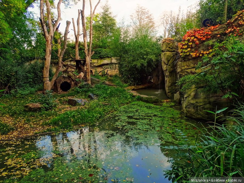 По Германии: зоопарк Лейпцига, часть 1 (фото 7)