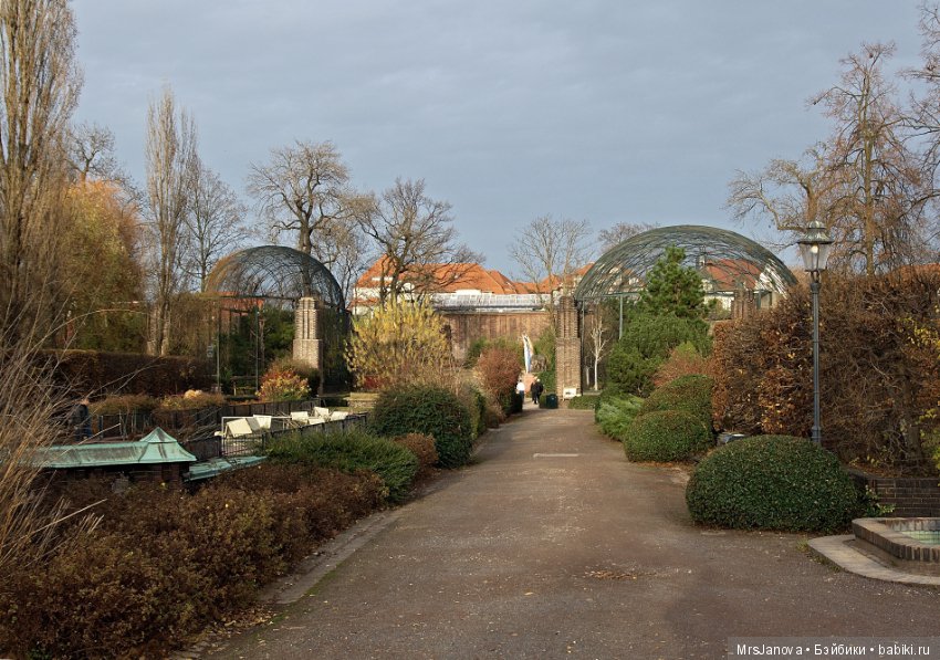 По Германии: зоопарк Лейпцига, часть 1