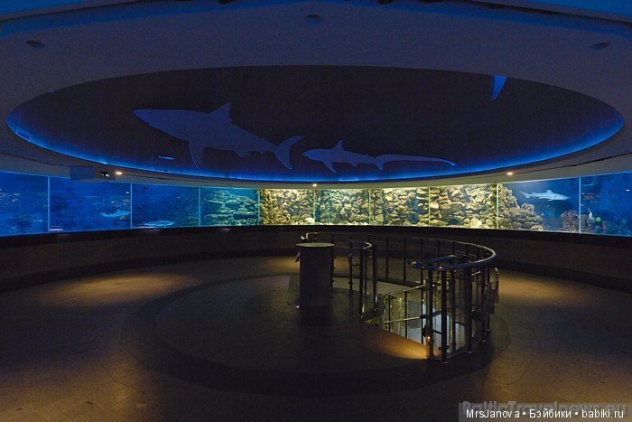 По Германии: зоопарк Лейпцига, часть 1