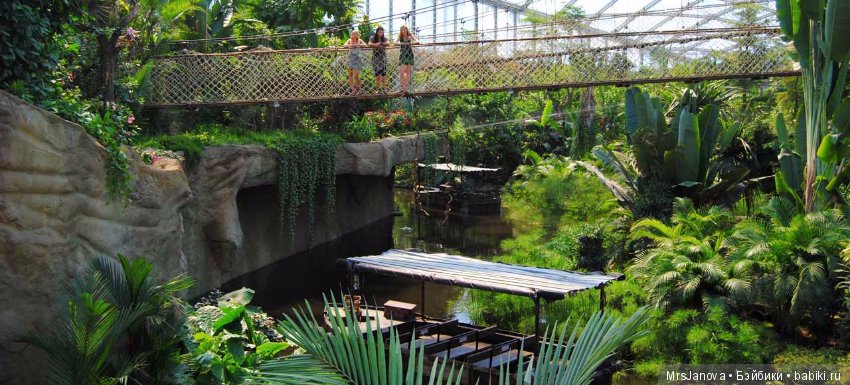 По Германии: зоопарк Лейпцига, часть 1