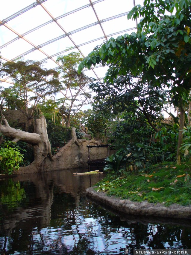 По Германии: зоопарк Лейпцига, часть 1