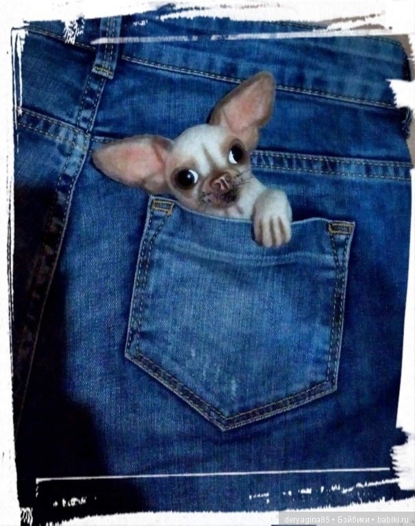 Чихоброшь — Валяные игрушки из шерсти: сухое валяние