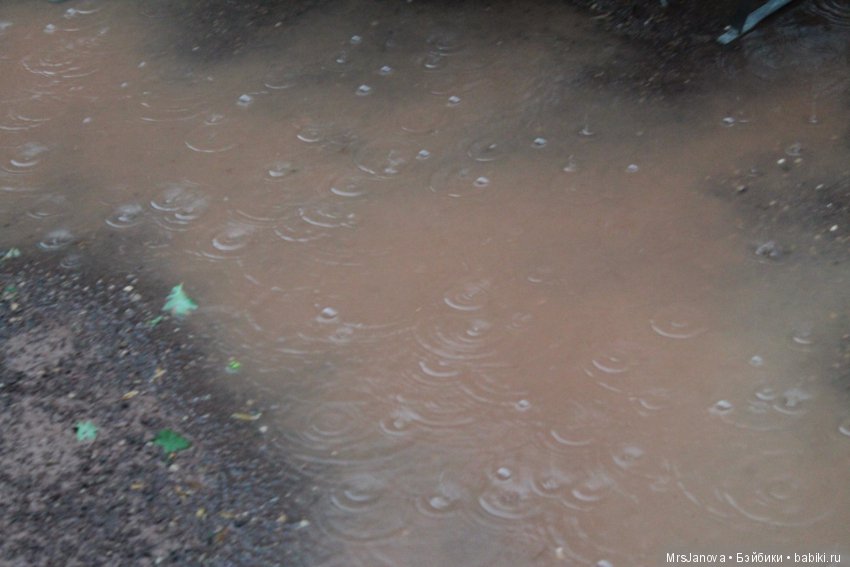 По Германии: зоопарк Лейпцига, часть 3 (фото 9)